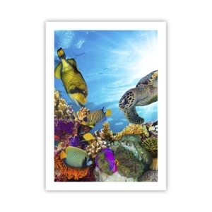 Affiche - Poster - Vie marine colorée avec poissons et tortues dans les eaux tropicales - 50x70cm - Promenade de corail - Décoration murale moderne pour le salon et la chambre ARTTOR