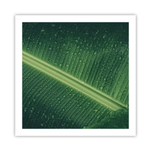 Affiche - Poster - Structure de vert - 60x60 cm