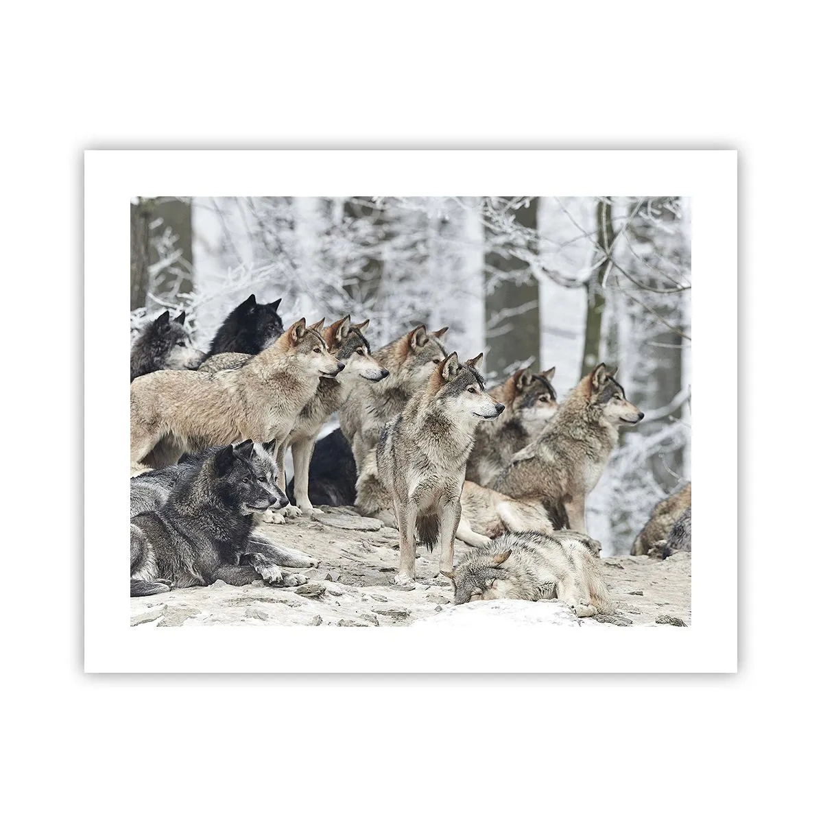 Affiche - Poster - Famille et amis - 50x40 cm