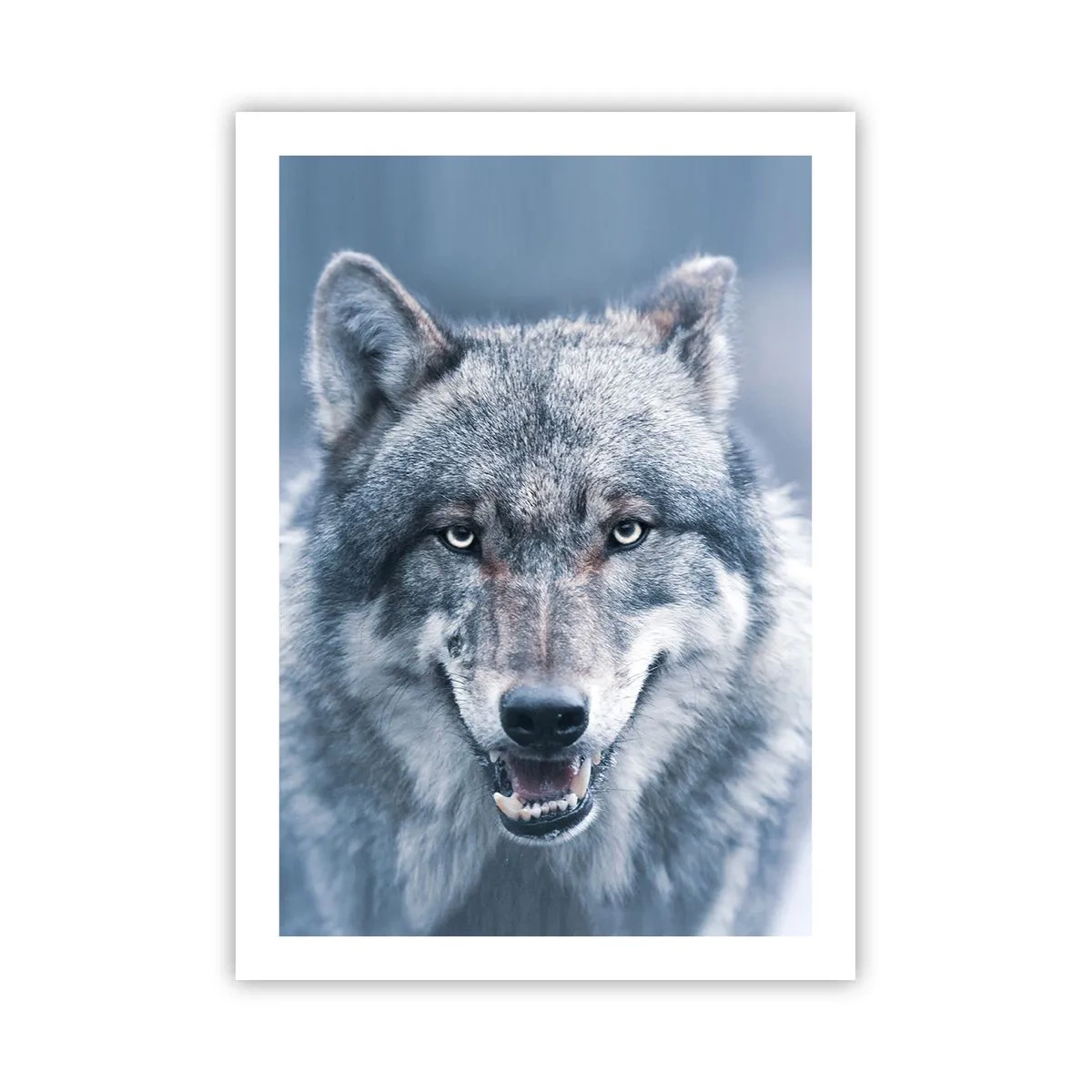 Affiche - Poster - Portrait d'un loup dans un paysage hivernal - 50x70cm - Relèverez-vous le défi ? - Décoration murale moderne pour le salon et la chambre ARTTOR
