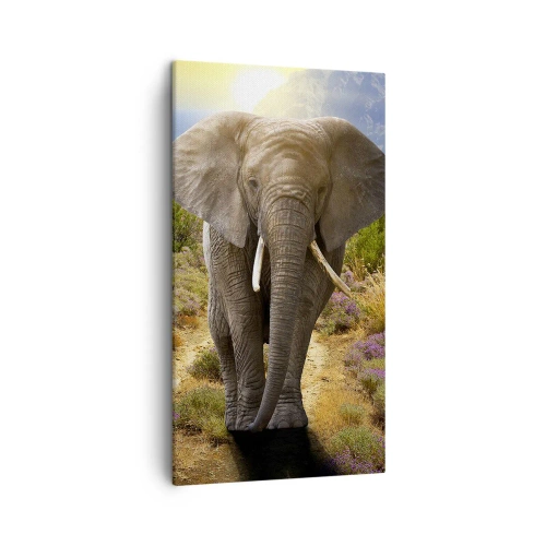 Impression sur toile - Image sur toile - Voilà à quoi ressemblait l'Eden - 45x80 cm