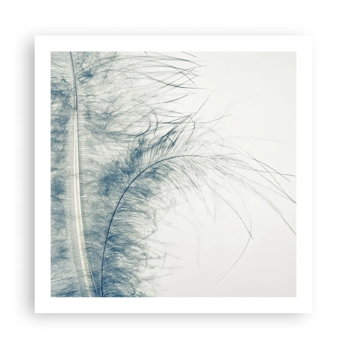 Affiche - Poster - Les sept natures - 60x60 cm