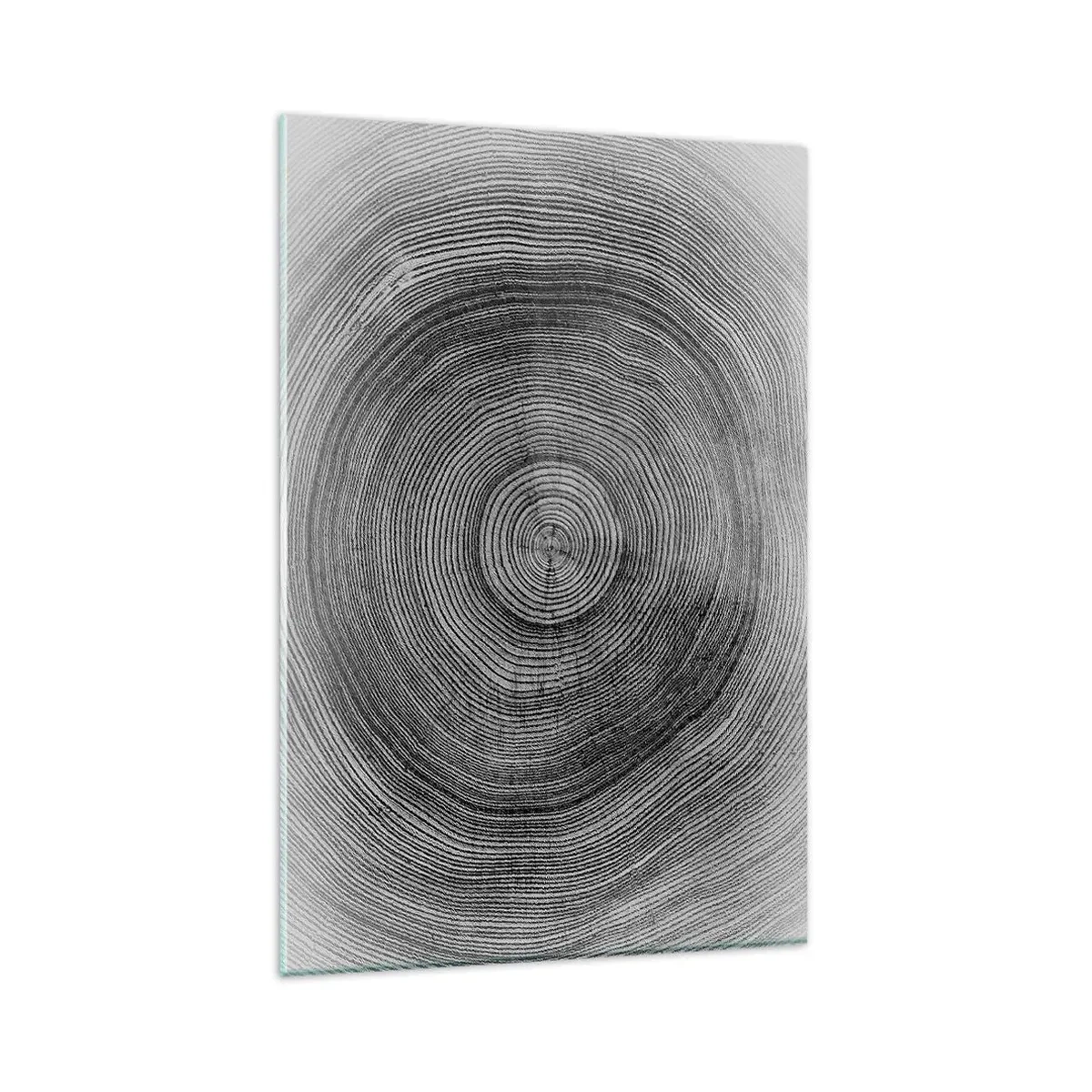 Impression sur verre - Image sur verre - Motif de cernes d'arbre noir et blanc montrant une coupe transversale du tronc - 80x120cm - Signe du temps - Décoration murale moderne pour le salon et la chambre ARTTOR
