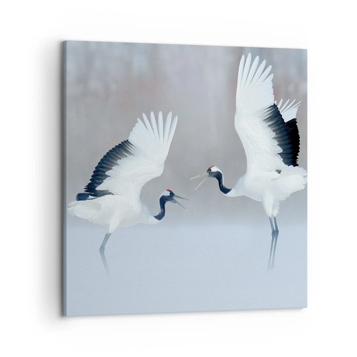 Impression sur toile - Image sur toile - Danse dans le brouillard - 50x50 cm