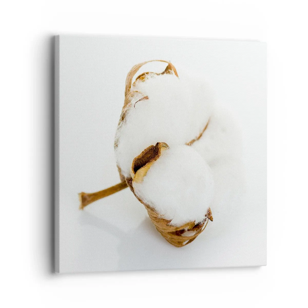 Impression sur toile - Image sur toile - Doux par nature - 30x30 cm