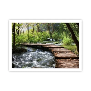 Affiche - Poster - Un pont en bois sur un ruisseau tumultueux entouré par la verdure de la forêt. - 100x70cm - Au-dessus de la cascade mousseuse - Décoration murale moderne pour le salon et la chambre ARTTOR