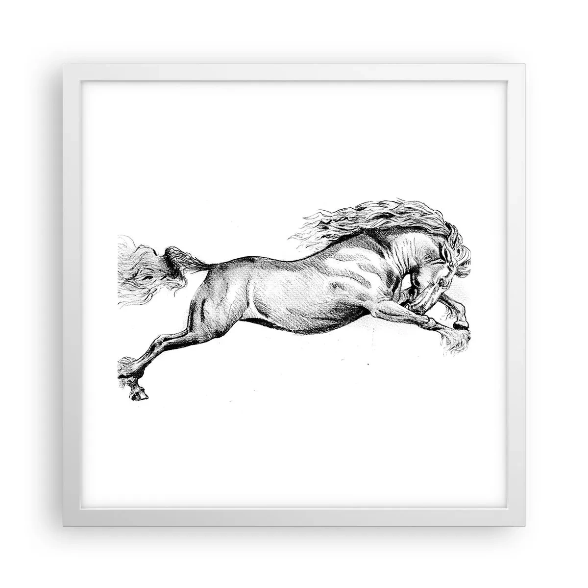Affiche dans un cadre blanc - Poster - Immortalisé au galop - 40x40 cm