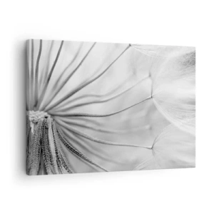 Impression sur toile - Image sur toile - Pissenlits délicats dans des tons noir et blanc - 70x50cm - Aigrette avant son envol - Décoration murale moderne pour le salon et la chambre ARTTOR