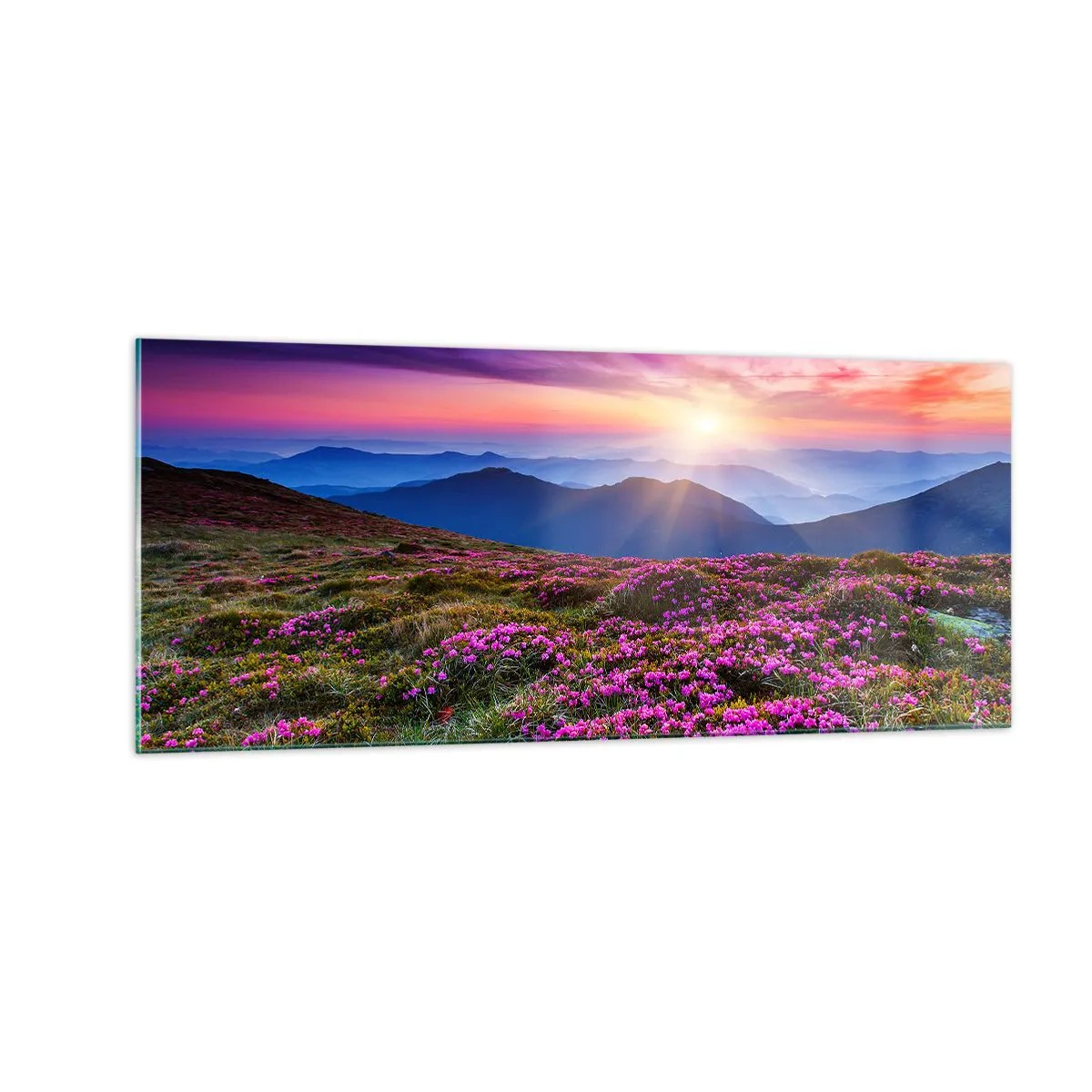 Impression sur verre - Image sur verre - Les herbes sentaient les grappes fraîches de la récolte - 100x40 cm