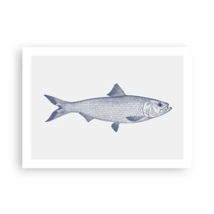 Affiche - Poster - Salutations des mers du nord - 70x50 cm