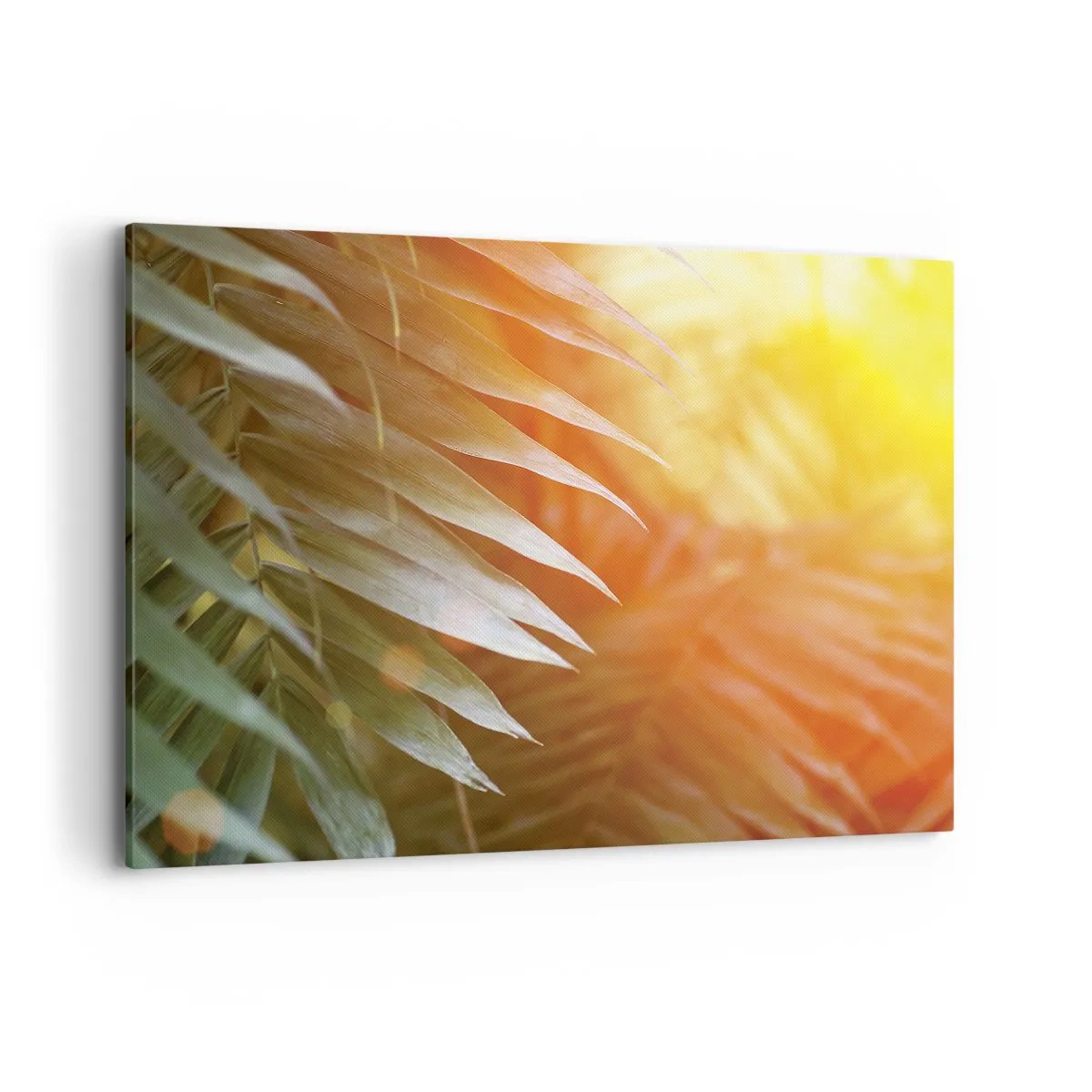 Impression sur toile - Image sur toile - Feuilles de palmier dans les rayons du soleil couchant - 100x70cm - Matinée dans la jungle - Décoration murale moderne pour le salon et la chambre ARTTOR