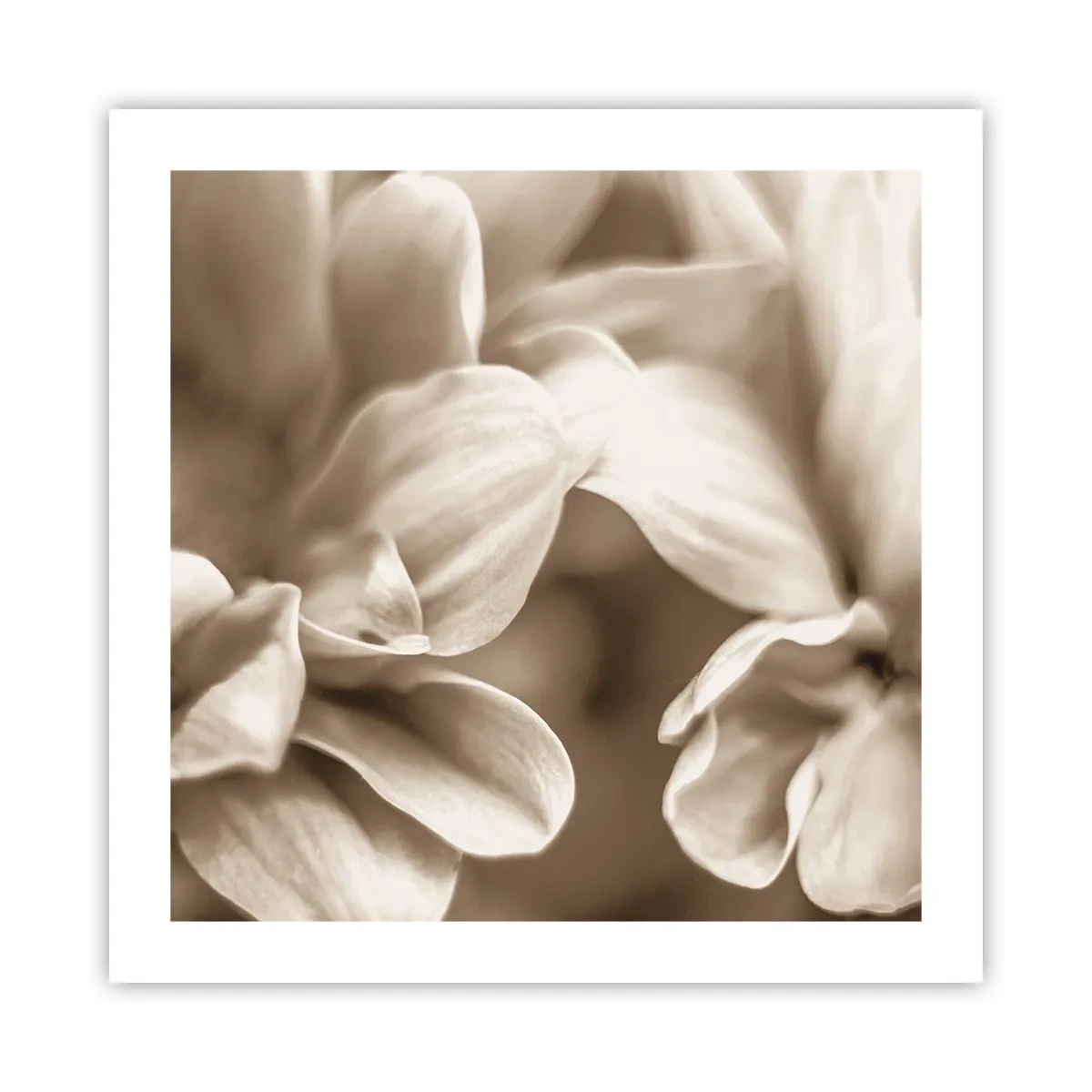 Affiche - Poster - Doux comme un sourire - 50x50 cm