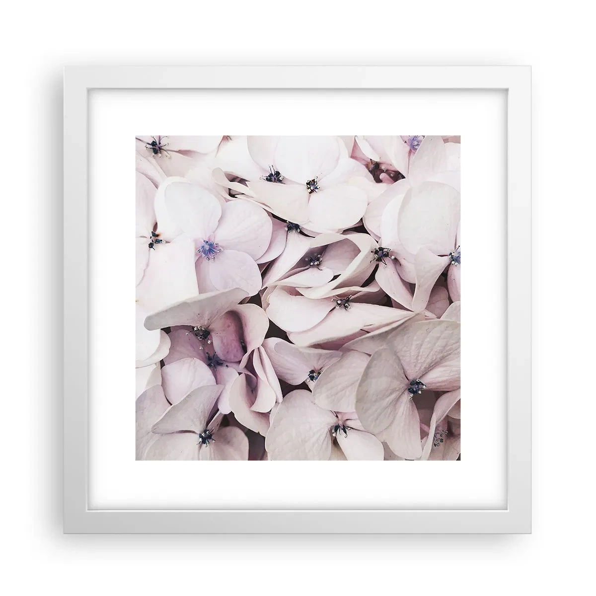 Affiche dans un cadre blanc - Poster - Dans un flot de fleurs - 30x30 cm