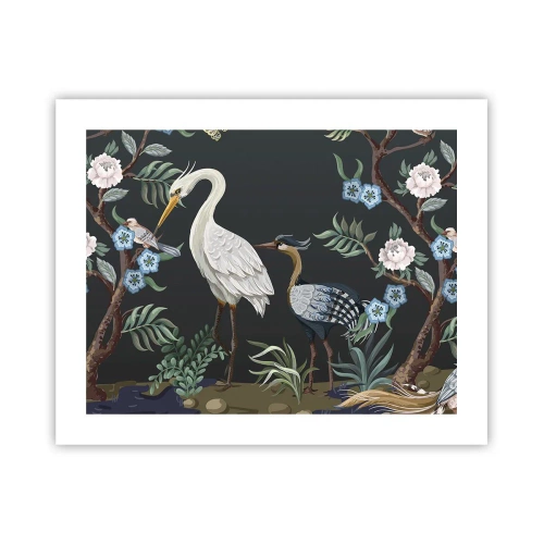 Affiche - Poster - Parade d'oiseaux - 50x40 cm