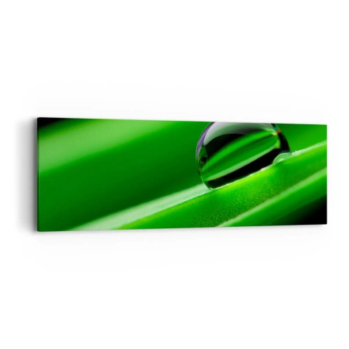 Impression sur toile - Image sur toile - La vie de près - 90x30 cm