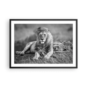 Affiche dans un cadre noir - Poster - Lion reposant sur un rocher dans un style monochrome - 70x50cm - Sieste royale - Décoration murale moderne pour le salon et la chambre ARTTOR