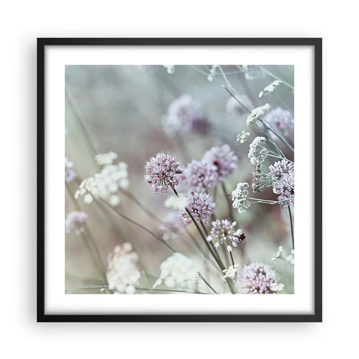 Affiche dans un cadre noir - Poster - Herbes douces en filigrane - 50x50 cm