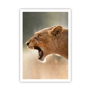 Affiche - Poster - Essayez  de ne pas écouter - 70x100 cm