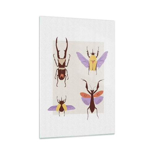 Impression sur verre - Image sur verre - Le monde des insectes - 70x100 cm