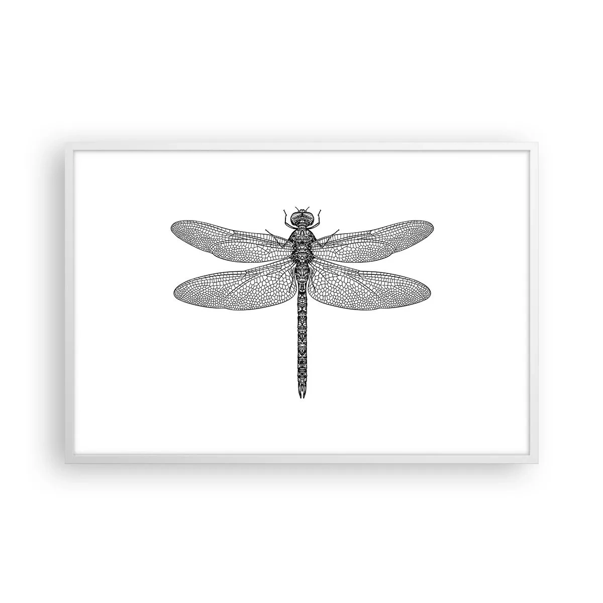 Affiche dans un cadre blanc - Poster - Précision de la nature - 91x61 cm