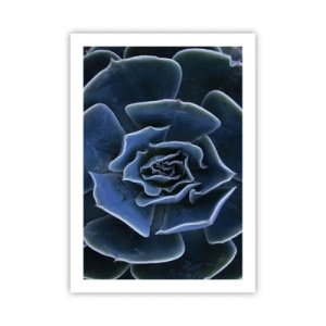 Affiche - Poster - Gros plan artistique d'un motif géométrique succulent - 50x70cm - Fleur du désert - Décoration murale moderne pour le salon et la chambre ARTTOR