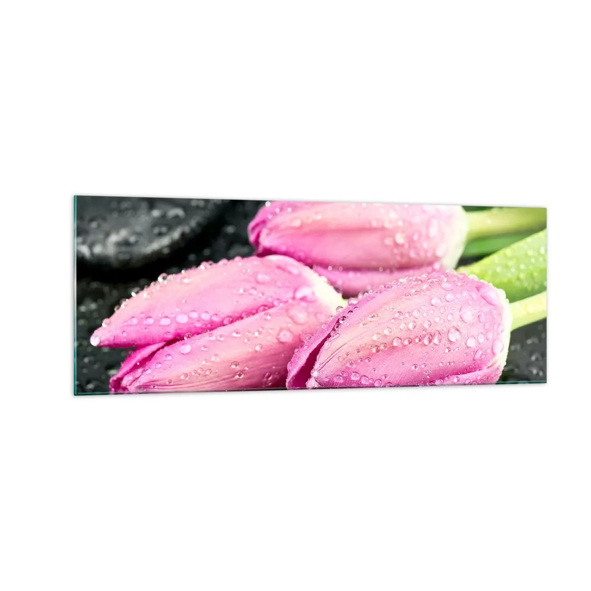 Impression sur verre - Image sur verre - Trois tulipes roses avec des gouttes d'eau sur fond noir - 140x50cm - Lilas trois sur une pierre noire - Décoration murale moderne pour le salon et la chambre ARTTOR