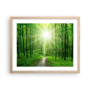 Affiche dans un chêne clair - Poster - Cathédrale verte - 50x40 cm