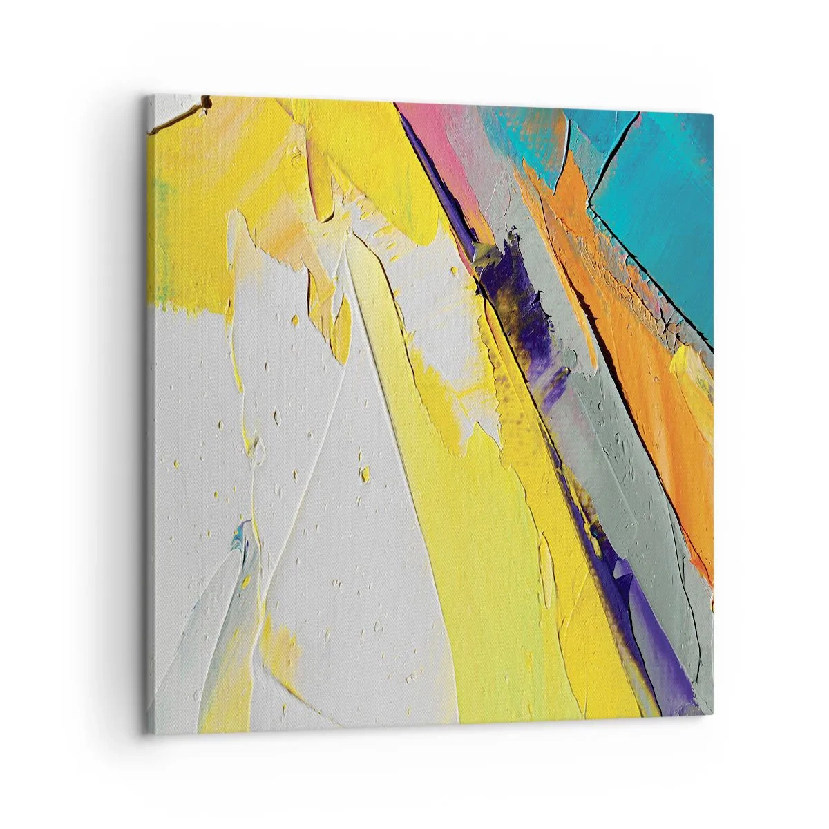 Impression sur toile - Image sur toile - Anatomie du monde - 60x60 cm