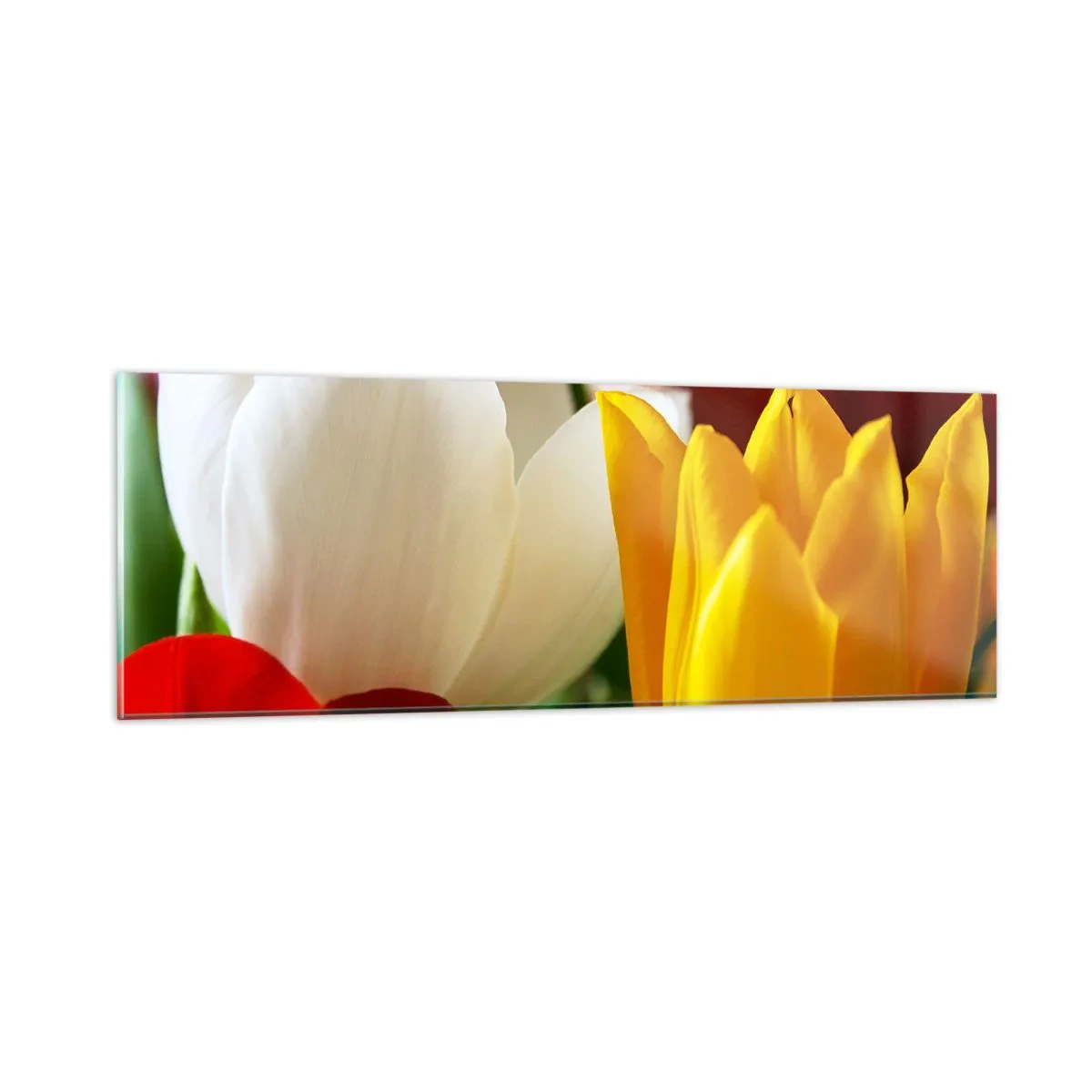 Impression sur verre - Image sur verre - La fièvre des tulipes - 90x30 cm