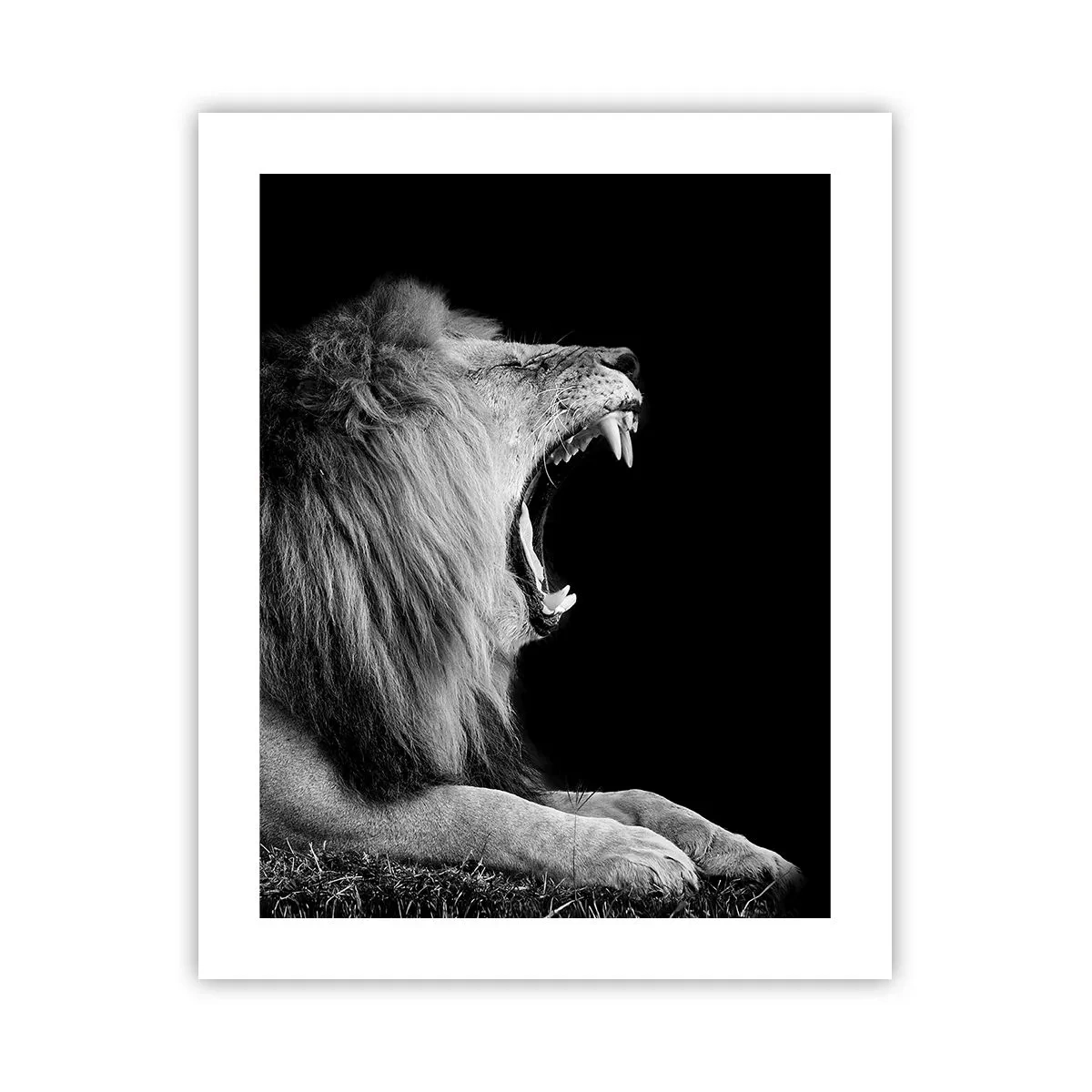 Affiche - Poster - Sans aucun doute - 40x50 cm