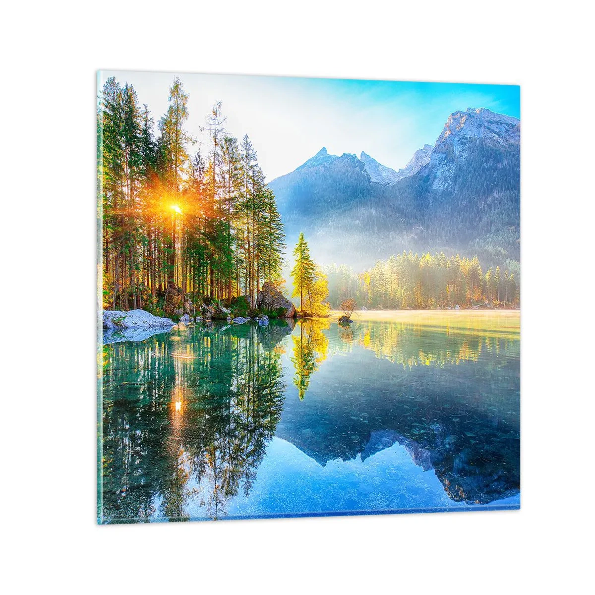 Impression sur verre - Image sur verre - Majesté et douceur - 40x40 cm