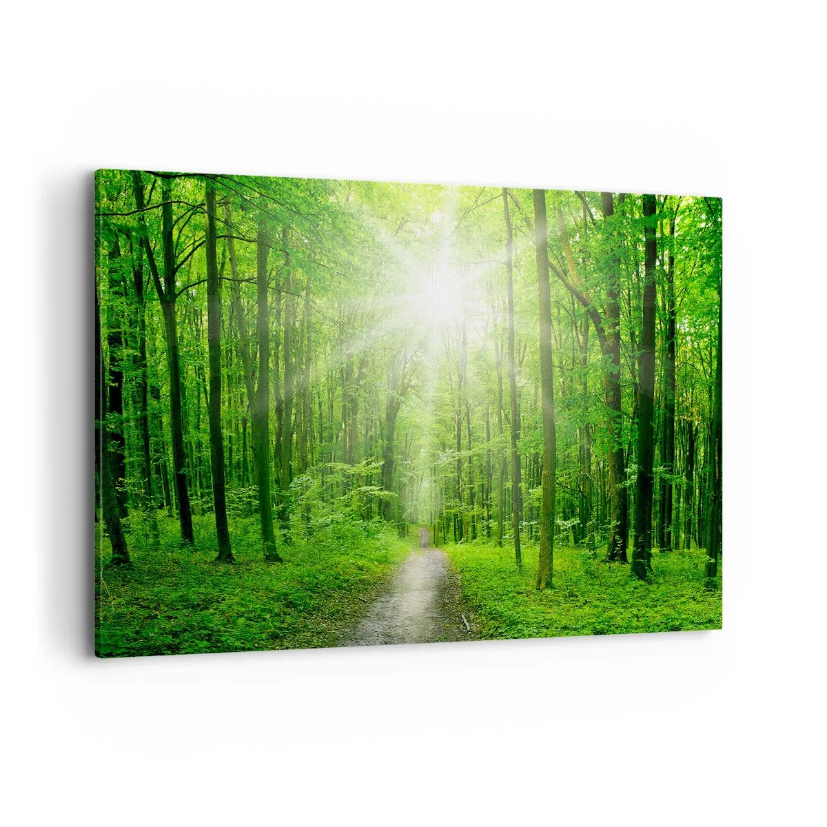Impression sur toile - Image sur toile - Chemin dans la forêt avec les rayons du soleil - 100x70cm - Cathédrale verte - Décoration murale moderne pour le salon et la chambre ARTTOR