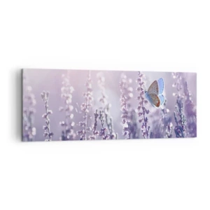 Impression sur toile - Image sur toile - Un papillon sur une lavande en fleurs dans la lumière du matin - 140x50cm - Baiser de papillon - Décoration murale moderne pour le salon et la chambre ARTTOR