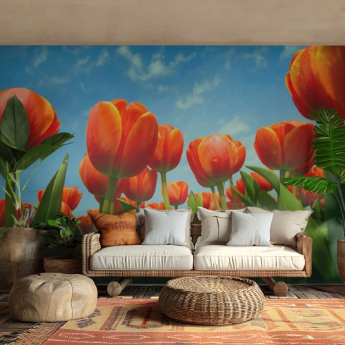 Papier Peint Photo Premium Sand - A part le ciel bleu, ils n'ont besoin de rien dans leur vie - Fleurs, Tulipes, Nature - 300x210 cm