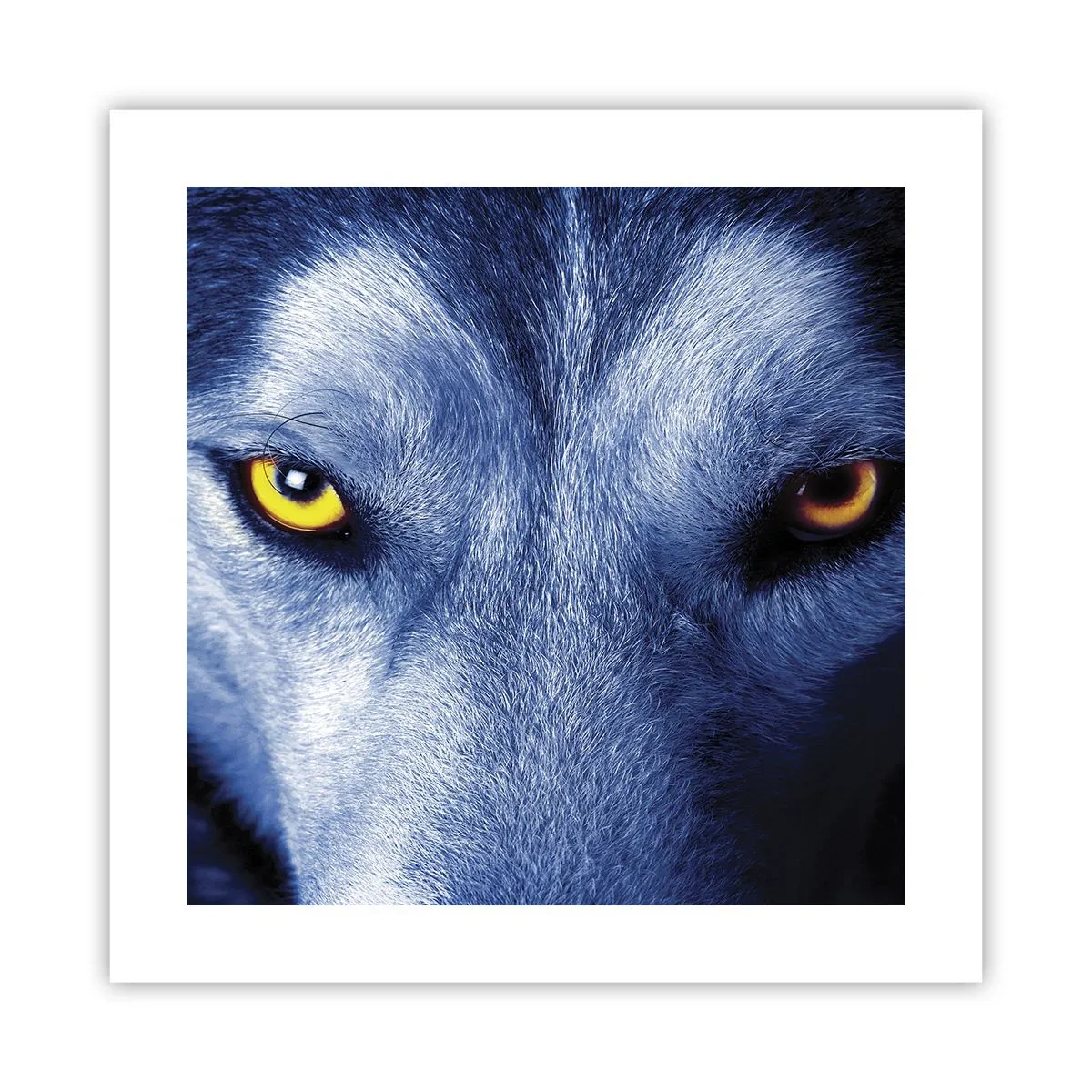 Affiche - Poster - Regars hypnotique - 40x40 cm