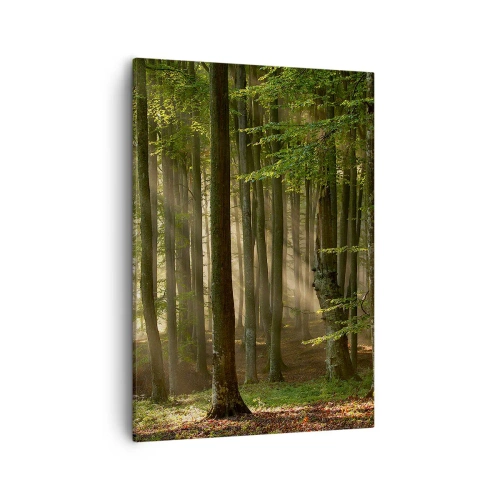 Impression sur toile - Image sur toile - Les rayons du soleil pénètrent à travers les arbres de la forêt - 50x70cm - Rayon d'un matin de printemps - Décoration murale moderne pour le salon et la chambre ARTTOR