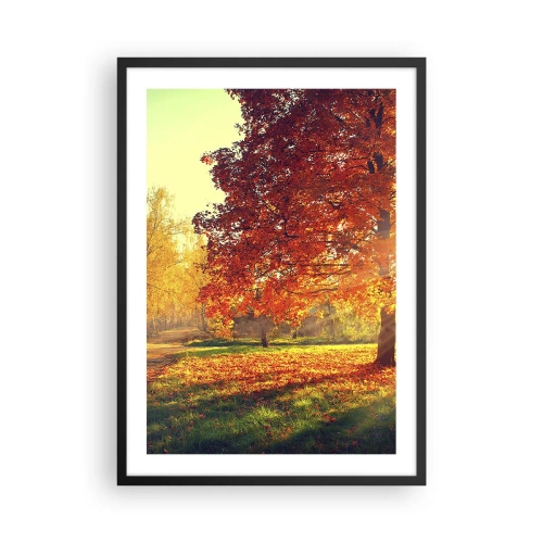 Affiche dans un cadre noir - Poster - Parc d'automne avec un arbre aux feuilles dorées au soleil - 50x70cm - Le roux est beau - Décoration murale moderne pour le salon et la chambre ARTTOR