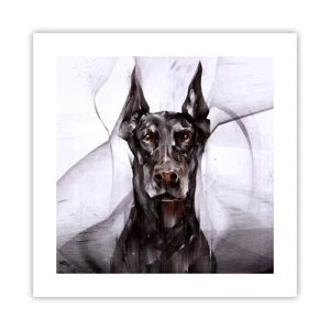 Affiche - Poster - Né noble - 40x40 cm