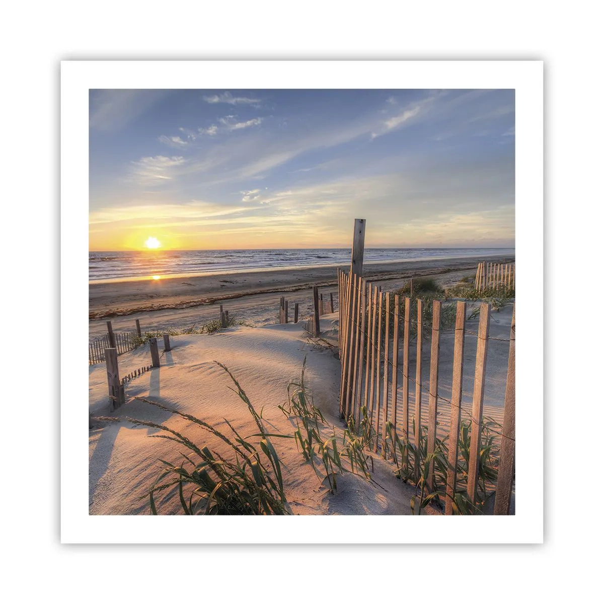 Affiche - Poster - Ombre et brillance du vent - 60x60 cm