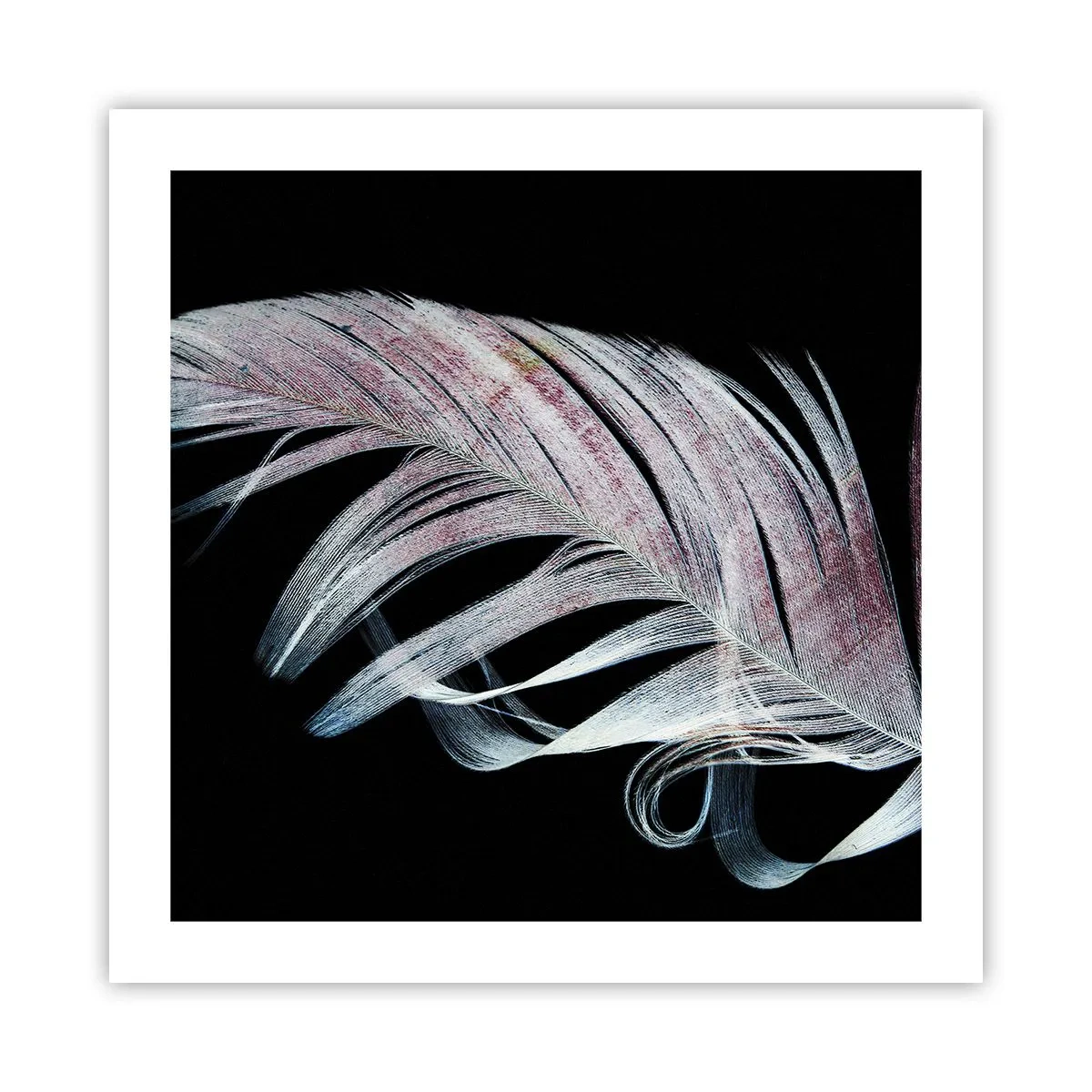 Affiche - Poster - Pensez au toucher - 50x50 cm