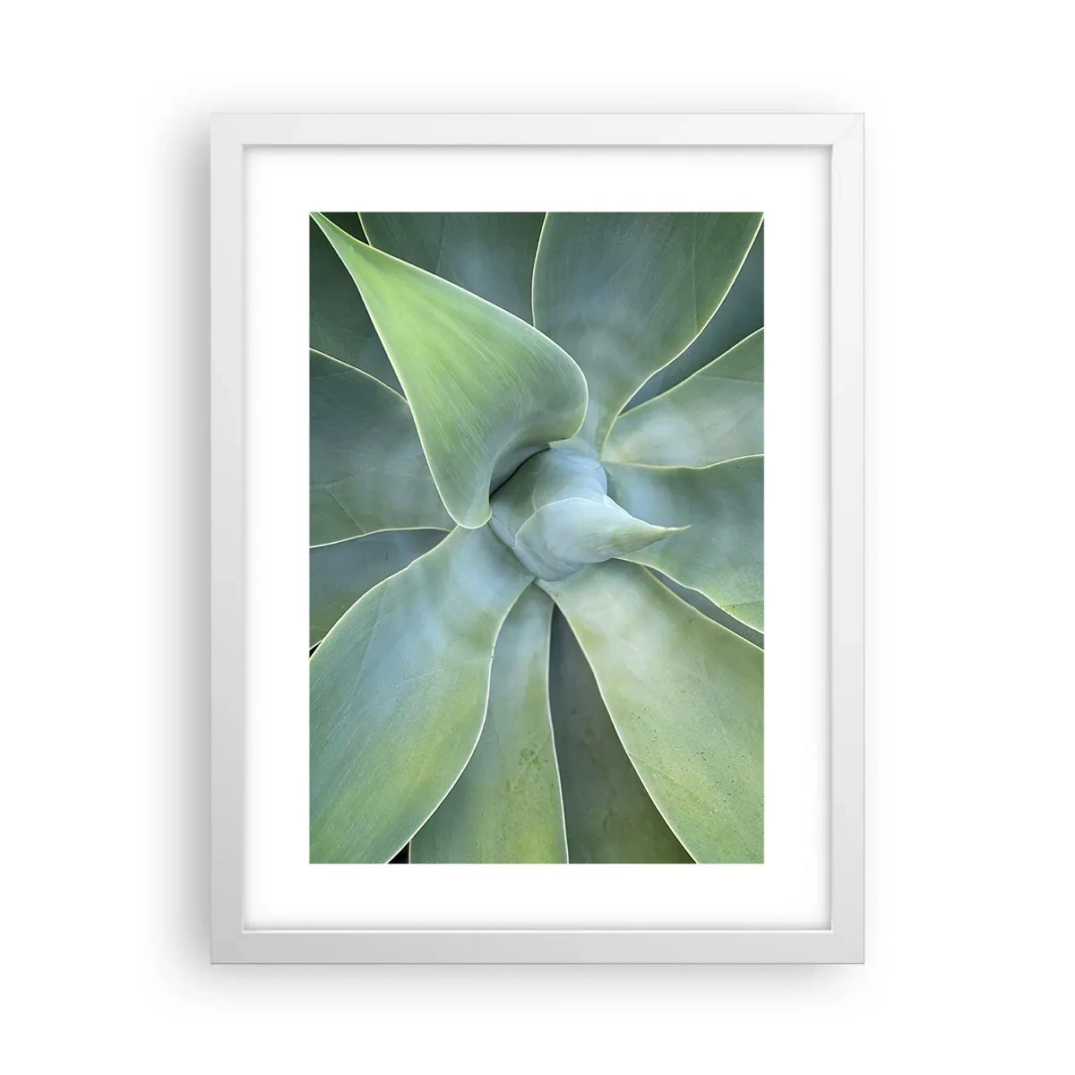 Affiche dans un cadre blanc - Poster - La naissance de la verdure - 30x40 cm