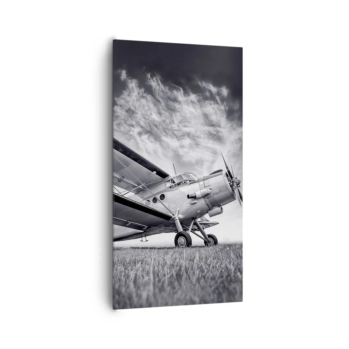 Impression sur toile - Image sur toile - Le pèlerin ailé - 65x120 cm