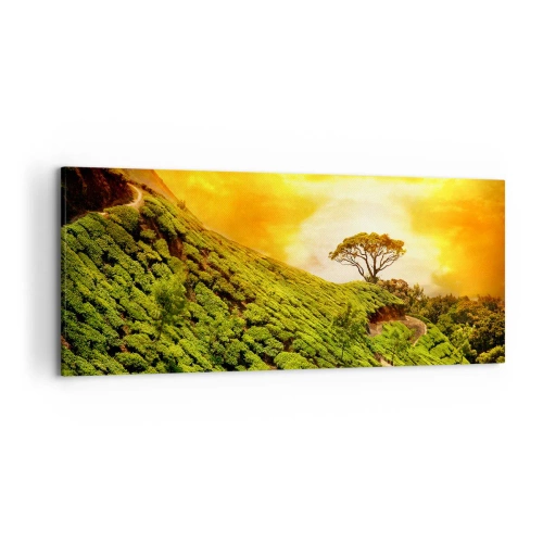 Impression sur toile - Image sur toile - Collines verdoyantes de plantations de thé au coucher du soleil - 120x50cm - Un chemin sinueux, une pente verte - Décoration murale moderne pour le salon et la chambre ARTTOR