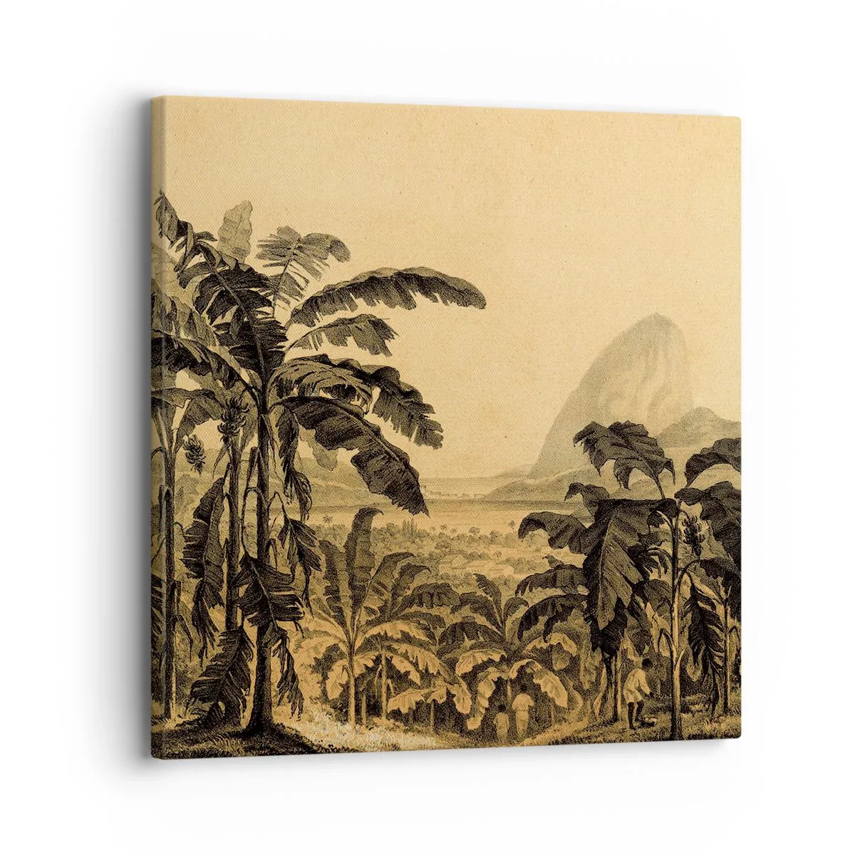 Impression sur toile - Image sur toile - Dans un climat colonial - 30x30 cm