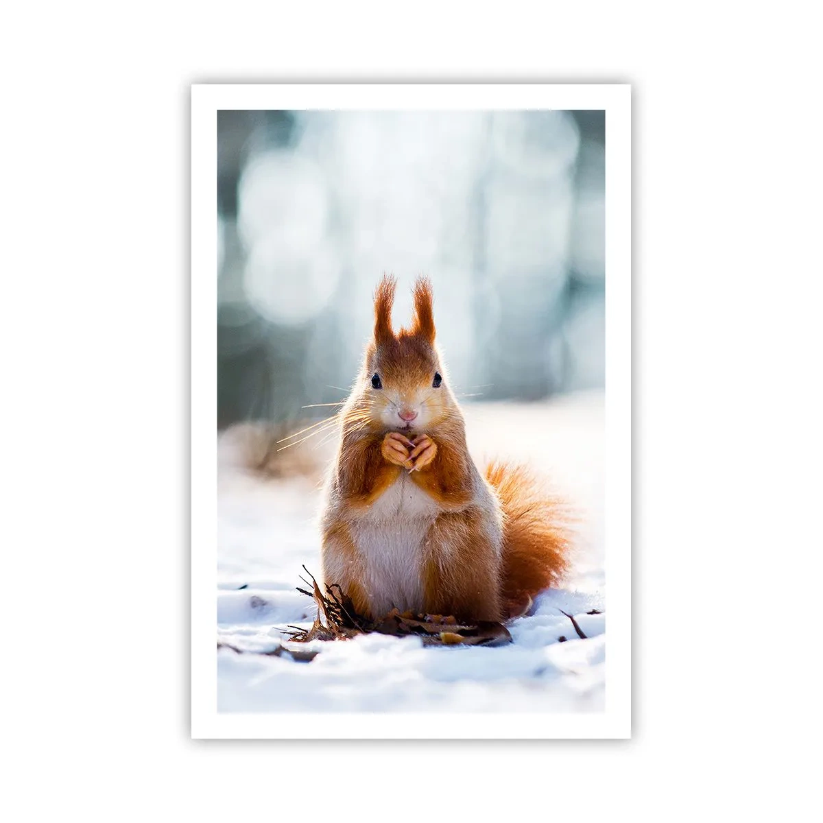 Affiche - Poster - Qu'est ce que tu regardes comme ça? - 61x91 cm