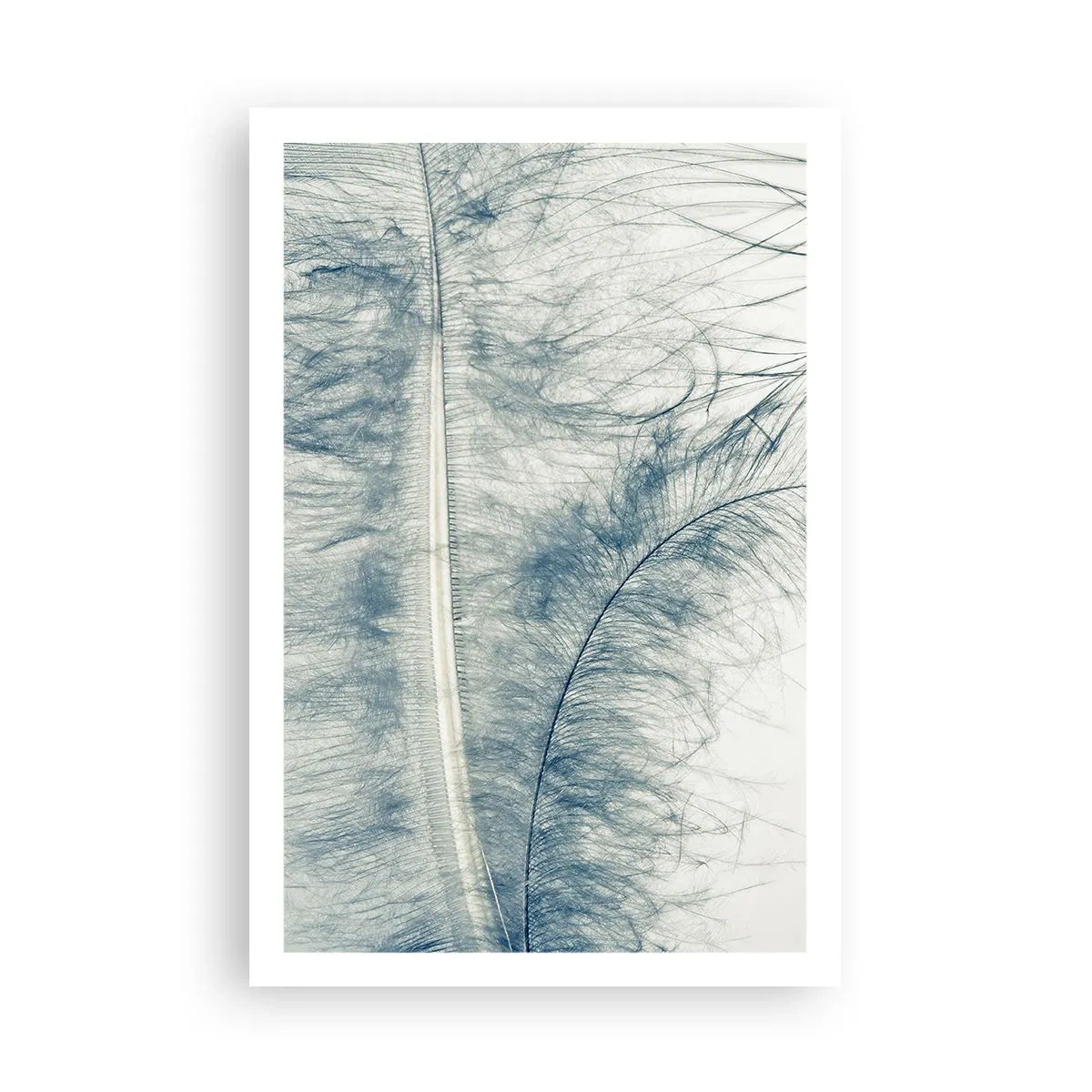 Affiche - Poster - Les sept natures - 61x91 cm