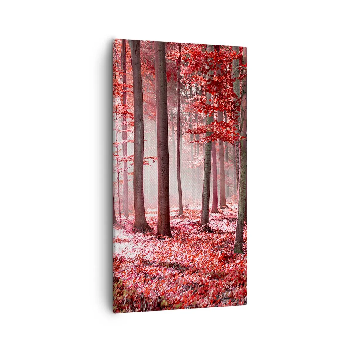 Impression sur toile - Image sur toile - Le rouge est tout aussi beau - 55x100 cm