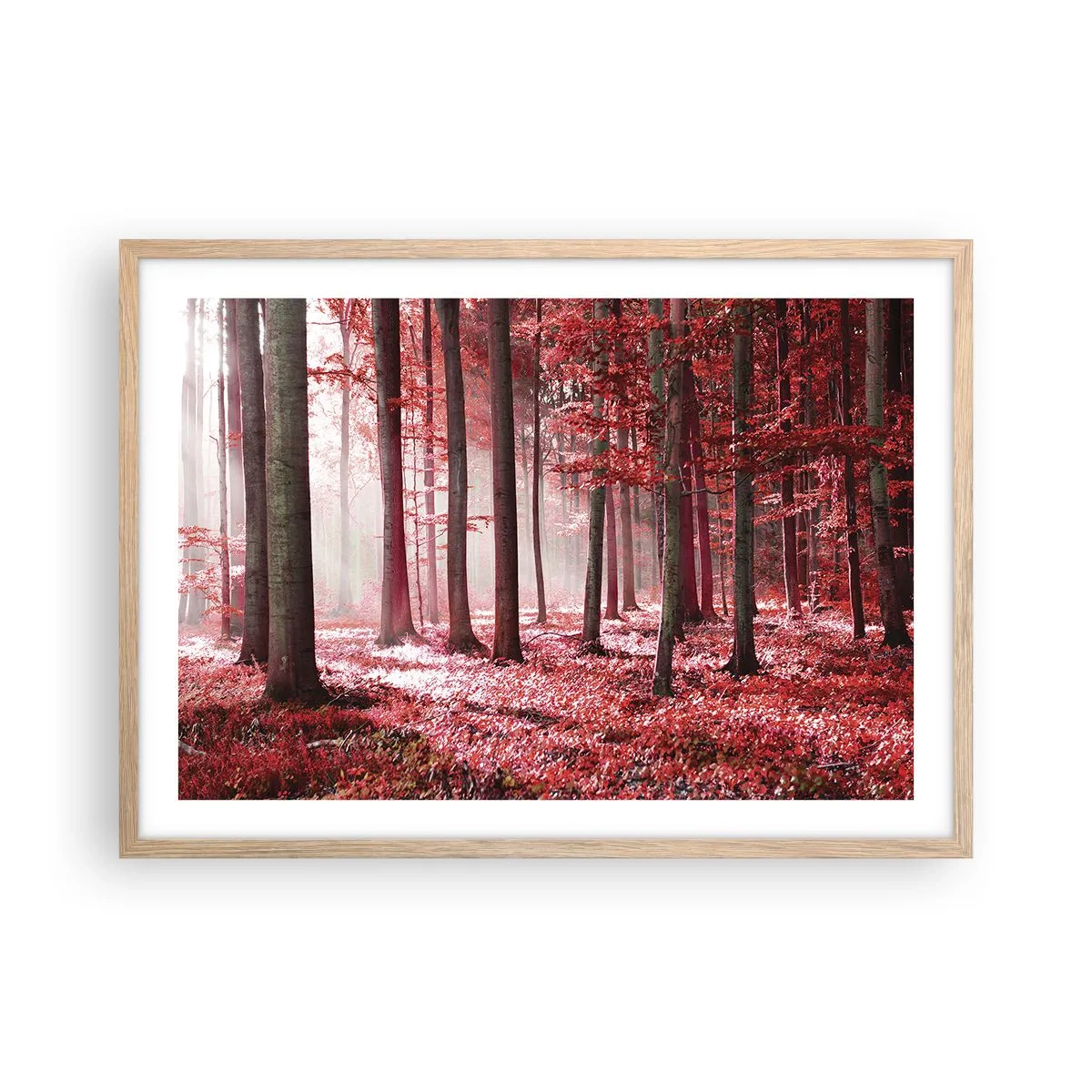 Affiche dans un chêne clair - Poster - Le rouge est tout aussi beau - 70x50 cm