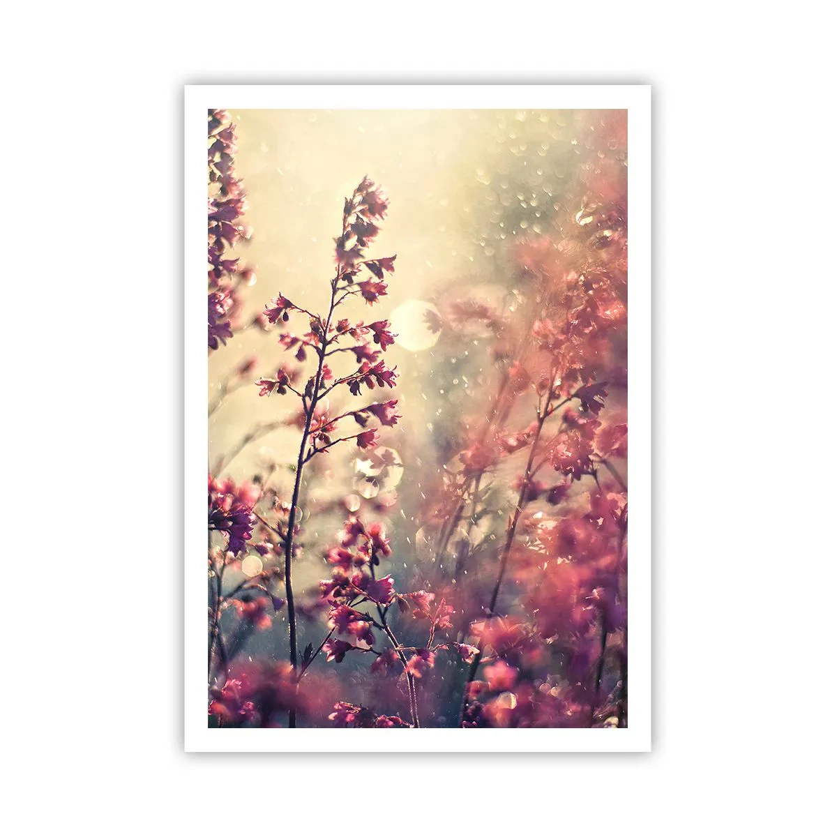 Affiche - Poster - Jardin secret - 70x100 cm