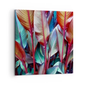 Impression sur toile - Image sur toile - Un fourré coloré - 50x50 cm